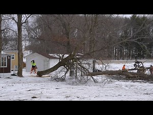 Notches, Hinges and Back cuts Ft. Tree Felling Cuts