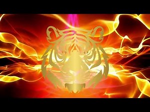 Tiger Screensaver - Year Of The Tiger Screensaver - Tiger Euphoria - HD - 60 Minutes
