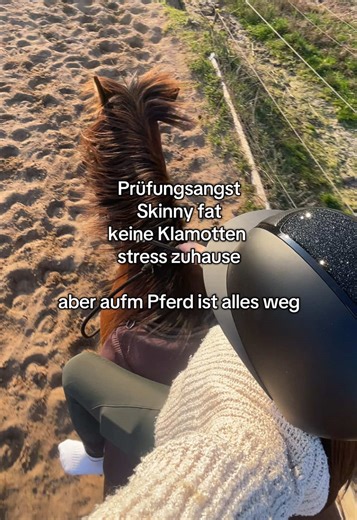 Horseback Riding Eases Anxiety and Stress