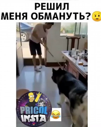 😂#смешно #ржу #дослёз #ржакадослез #юмор #рек #смехдослез #смешнодоболи😂😂😂 #прикольныевидео #смехдослёз #рекомендации#прикольные #прикольныевидео