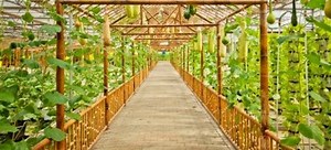 Build your Own Green House: Materials | DoItYourself.com