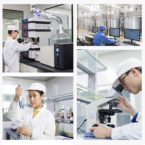 [Hot Item] No Sugar Added Resistant Dextrin