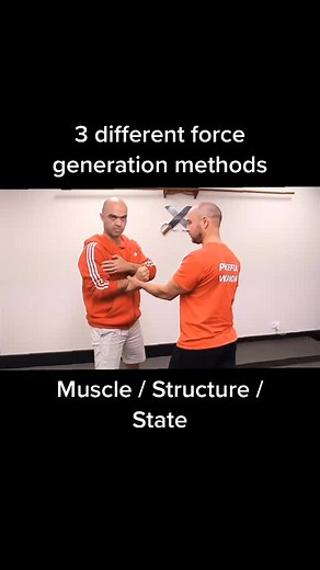 Do you use the ‘state’ aka energy body in your training? #wingchun #taichi #qigong #kungfu #internalmartialarts