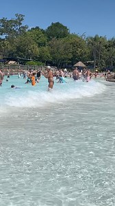 8.4M views · 13K reactions | Typhoon Lagoon  | Michelle Rodde at Hays Travel | Facebook
