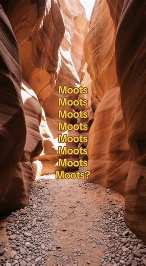 Exploring the Concept of Moots in Online Culture
