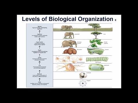 Bio 111 Chapter 1 The Study of Life