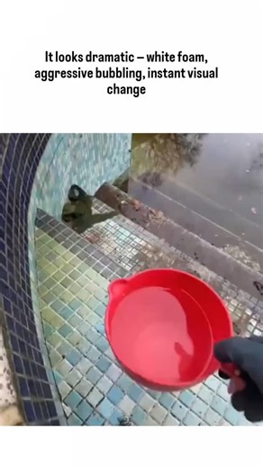 Candy Crush on Instagram: "It looks dramatic — white foam, aggressive bubbling, instant visual change — so it’s easy to assume bleach. But the reaction in that viral pool-cleaning clip tells a different story. The substance being poured is muriatic acid (hydrochloric acid), and the bubbling is exactly what you’d expect when acid meets mineral buildup. Why it foams Pool tiles and stained surfaces often accumulate calcium carbonate from hard water, scale, and algae deposits. When muriatic acid hit