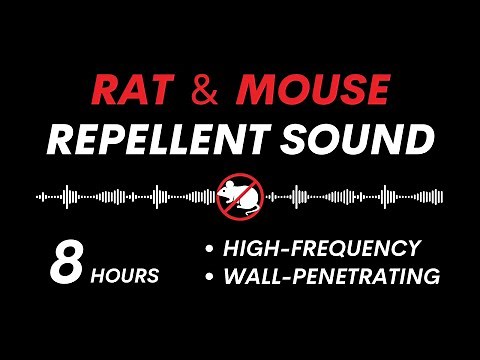 Ultrasonic Rat & Mouse Repellent | Effective Wall-Penetrating Sound | 8 Hours