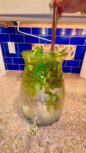 Ultimate Infused Drink!! Cucumber Mint Water 💧 🍵