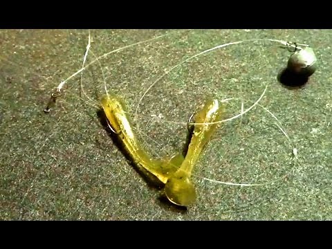 Tying a two-viol/perch paternoster