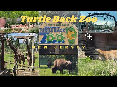 Turtle Back Zoo Full Tour Essex County New Jersey | Animals