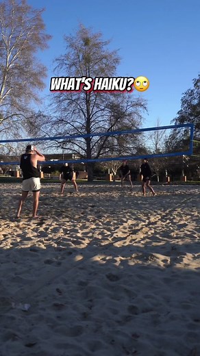 Haiku Volleyball: A Fun Game with Anime-Inspired Moves