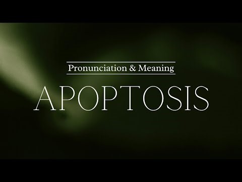 How to Pronounce: Apoptosis | British Pronunciation & Meaning