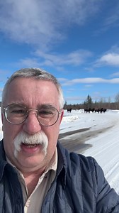 8.7K views · 71 reactions | And now, time for the local traffic report. | Let's Go Outdoors Alberta | Facebook