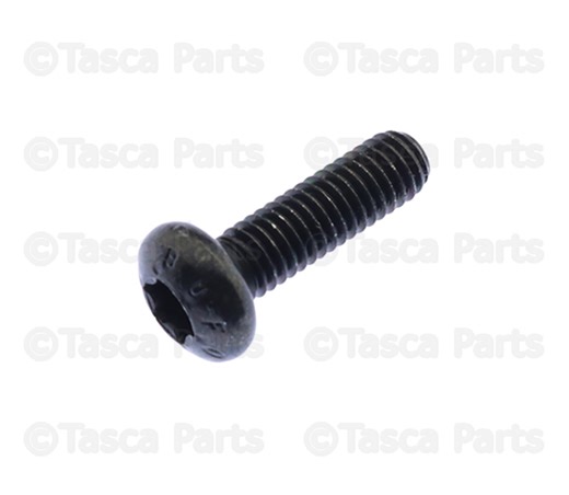 License Plate Bracket Screw