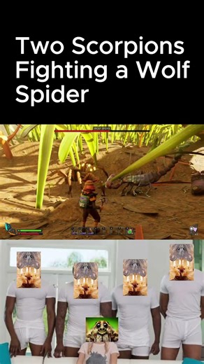 Two scorpions and a Wolf Spider Fighting in Grounded 2.