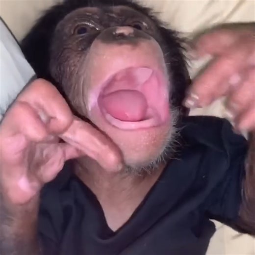 Taras first laugh.😍 | Kody Antle