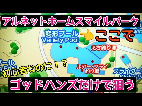 Only God Hands can aim for the transformed pool at Arnet Home Smile Park Shirakobato Water Park.