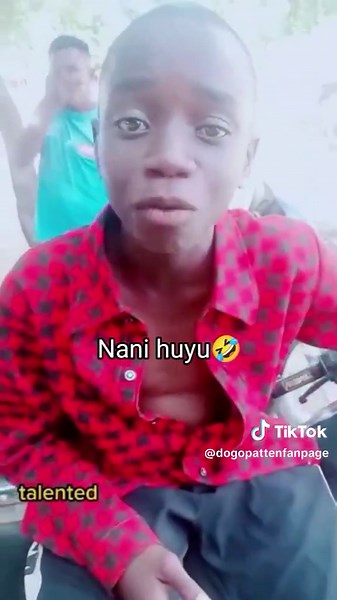 Dogo patten fan page (@dogopattenfanpage)’s videos with original sound - Dogo patten fan page