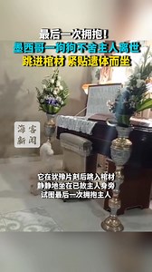42K views · 1.3K reactions | Heartbreaking moment loyal dog jumps into its dead master's open casket for one last cuddle during funeral 最后一次拥抱！墨西哥一狗狗不舍主人离世 跳进棺材 紧贴遗体而坐 #狗狗不舍主人离世跳进棺材 #狗狗不舍主人离世 #狗狗与已故主人最后一次拥抱 | People's Daily,Overseas | Facebook