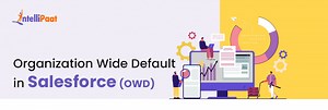 Organization-Wide Default in Salesforce (OWD)