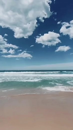 そっちもできんのかよwwww #meme #memestiktok #animal #ツイッターで話題の #おもしろ動画