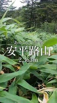 【安平路山】摺古木自然園休憩舎登山口ルートをサクッと解説。