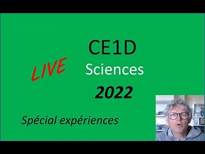 LIVE CE1D Sciences 2022 : se préparer au rapport d'expérience
