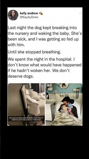 dog saves baby’s life | Subscribe for more #motivation 😊👍