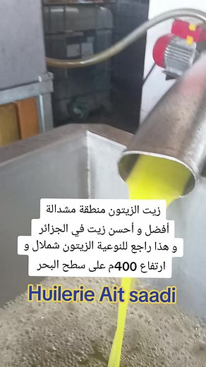 زيت الزيتون مشدالة أفضل زيت في الجزائر و هذا راجع للنوعية الزيتون شملال و ارتفاع 400متر على سطح البحر