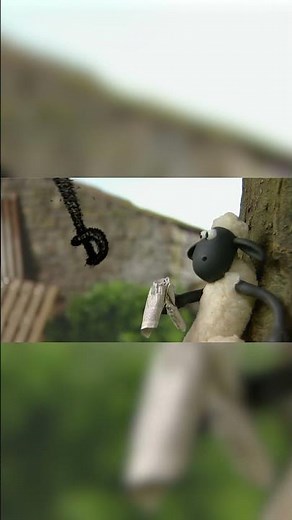 Bumble Bee?!🐑🐑 #shorts #shaunthesheep #cartoonforkids #fullepisodes #english #animation