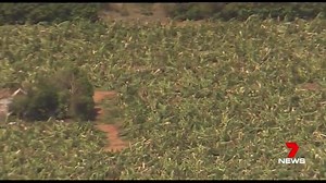 25K views · 236 reactions | WA's cyclone season is set to return with a vengeance after half a decade of below average storms. WEATHER I www.7News.com.au | 7NEWS Perth | Facebook