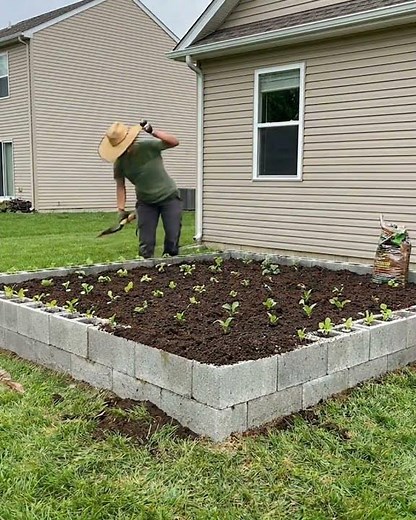 Stop Buying Expensive Lumber! Build This Cinder Block Garden!