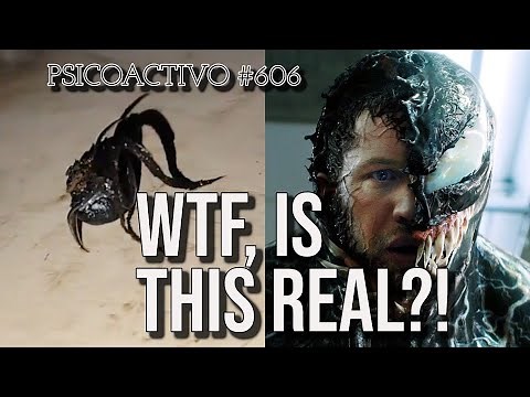 Venom-like biological entity allegedly found at Meteorite crash site in Panama - Psicoactivo #606