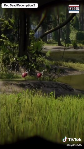 Roseate Spoonbill Location in Red Dead Redemption 2