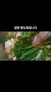 봄동 겉절이 무치기 및 보관 팁 #집밥 #좋아요