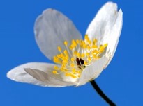 Breast Cancer in women - Interview 21 - Breast cancer in women