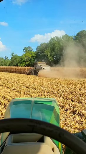 41K views · 386 reactions | Gleaner Combine Harvesting Corn #reels #corn #terrellspivey #cornharvest #farmlife #farming #gleaner #combine #gleanercombine #2023cornharvest #cornharvest #viral #viralreels #fbreels | Terrell Spivey | Facebook