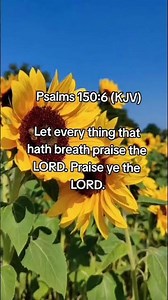 Let everything that hath breath praise the Lord #praise #worship