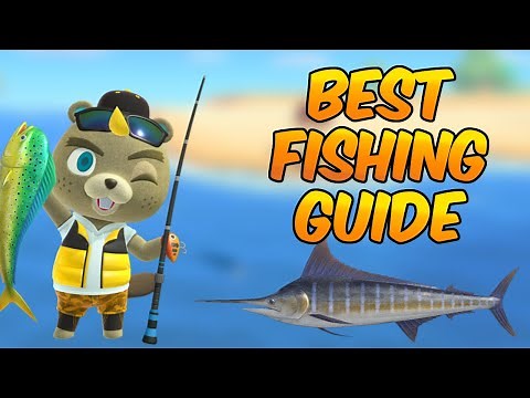 EVERYTHING You Need To Know About Fishing! (In-Depth Guide) | Animal Crossing New Horizons Tips!