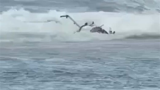 Pilot who survived crash that killed three recalls disaster in report