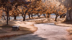 9 Friendliest Towns in America Where Happiness Lives