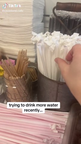 Cleveland Cafe Satire: Drinking More Water Challenge
