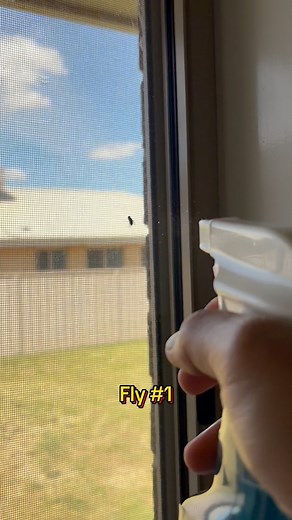 You do not need to use insecticides or swatters to kill flies. There are non-toxic and less messier alternatives using what you have at home. #insecticides #nontoxic #flies #pestcontrol #natural #home #diy | Stu R Geon