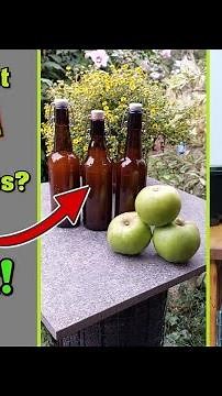 Apfelsaft selber machen! Lange haltbar, schnell & einfach ! - Rezept - entsaften, pressen - Äpfel