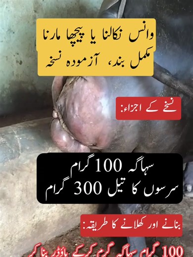 Effective Uterine Prolapse Treatment Options