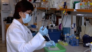 Capturing Chromosome Conformation Across Length Scales