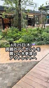 6月25日(木)久々のお出かけ#老犬介護 #木更津アウトレット