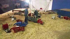 3.7K views · 214 reactions | Guthrie Oklahoma at the Lazy E Arena for the Oklohoma Ranch Rodeo. This morning the kids have moved the toys down the ramp to the sawdust. Working lots of cattle today | The Happy Toy Maker | Facebook