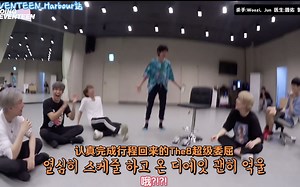 [SVT_Harbour精效中字] GOING SEVENTEEN Spin-off 合集（已更新至第24集）